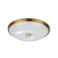 Потолочный светильник Odeon Light Pelow 4956/5 Потолочный светильник Odeon Light Pelow 4956/5