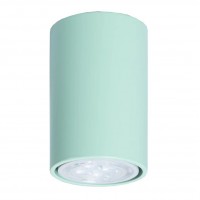 Потолочный светильник TopDecor Tubo6 P1 30 Потолочный светильник TopDecor Tubo6 P1 30