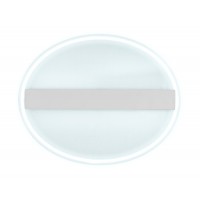 Потолочный светодиодный светильник Ambrella light Original FA606