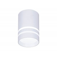 Потолочный светодиодный светильник Ambrella light Techno Spot TN235 Потолочный светодиодный светильник Ambrella light Techno Spot TN235