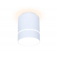 Потолочный светодиодный светильник Ambrella light Techno Spot TN255 Потолочный светодиодный светильник Ambrella light Techno Spot TN255