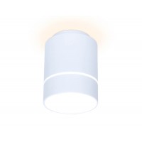 Потолочный светодиодный светильник Ambrella light Techno Spot TN256 Потолочный светодиодный светильник Ambrella light Techno Spot TN256