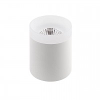 Потолочный светодиодный светильник Denkirs DK4010-WH Потолочный светодиодный светильник Denkirs DK4010-WH