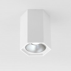 Потолочный светодиодный светильник Elektrostandard 25036/Led 4690389176487