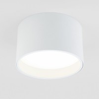 Потолочный светодиодный светильник Elektrostandard 25123/Led Banti 13Вт 4200K 4690389183980 Потолочный светодиодный светильник Elektrostandard 25123/Led Banti 13Вт 4200K 4690389183980