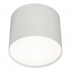 Потолочный светодиодный светильник Escada 20004SMU/01LED SWH