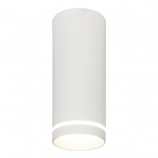 Потолочный светодиодный светильник Escada 20009SMU/02LED SWH