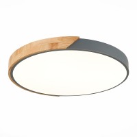 Потолочный светодиодный светильник Evoluce Festa SLE200972-01 Потолочный светодиодный светильник Evoluce Festa SLE200972-01