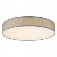 Потолочный светодиодный светильник Globo Paco 15185D2 Потолочный светодиодный светильник Globo Paco 15185D2