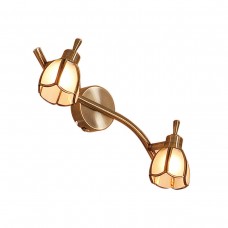 Спот Citilux Альтен CL522521 Спот Citilux Альтен CL522521