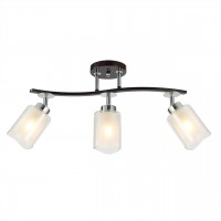 Спот Citilux Фортуна CL156132