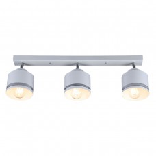 Спот IMEX SP.025-53-80