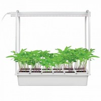 Светодиодный светильник для растений Uniel Minigarden ULT-P34-10W/Sple IP40 White 12 UL-00004998 Светодиодный светильник для растений Uniel Minigarden ULT-P34-10W/Sple IP40 White 12 UL-00004998