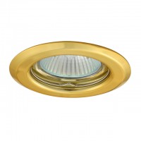 Точечный светильник Kanlux ARGUS CT-2114-G 300 Точечный светильник Kanlux ARGUS CT-2114-G 300