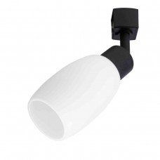 Трековый светильник Arte Lamp Miia A3055PL-1BK