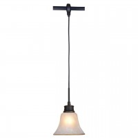 Трековый светильник Citilux Классик CL560215