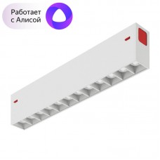 Трековый светодиодный светильник Denkirs DK8001-WH