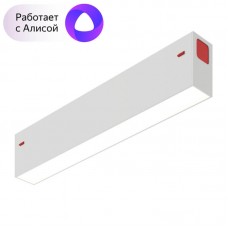 Трековый светодиодный светильник Denkirs DK8003-WH