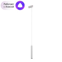 Трековый светодиодный светильник Denkirs DK8008-WH Трековый светодиодный светильник Denkirs DK8008-WH