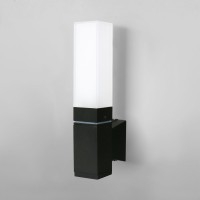 Уличный настенный светодиодный светильник Elektrostandard 1534 Techno Led черный 4690389168727 Уличный настенный светодиодный светильник Elektrostandard 1534 Techno Led черный 4690389168727