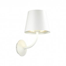 Уличный настенный светодиодный светильник Odeon Light Elin 4609/7WL