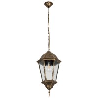 Уличный подвесной светильник Arte Lamp Genova A1204SO-1BN