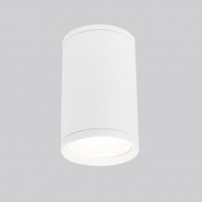 Уличный светильник Elektrostandard Light 35128/H белый 4690389175893