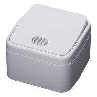 Выключатель одноклавишный Feron Stekker Basic с подсветкой PSW103120 39029 Выключатель одноклавишный Feron Stekker Basic с подсветкой PSW103120 39029