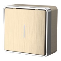 Выключатель одноклавишный с подсветкой Werkel Gallant шампань рифленый W5010110 4690389163821 Выключатель одноклавишный с подсветкой Werkel Gallant шампань рифленый W5010110 4690389163821