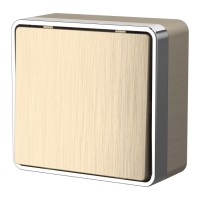 Выключатель одноклавишный Werkel Gallant шампань рифленый W5010010 4690389163753 Выключатель одноклавишный Werkel Gallant шампань рифленый W5010010 4690389163753