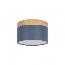 10162 Blue Накладной светильник LOFT IT Grape