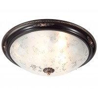 Lucia Tucci LUGO 142.6 R50 brown