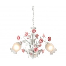 Lucia Tucci Fiori di rose 106.3