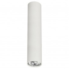 Потолочный cветильник Nowodvorski Eye M White 5463