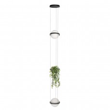 10121/2P Dark grey Подвесной светильник LOFT IT Jardin