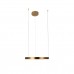 10013M Подвесной светильник LOFT IT Ring