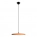 10119 Orange Подвесной светильник LOFT IT Plato