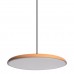 10119 Orange Подвесной светильник LOFT IT Plato