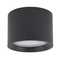 Потолочный cветильник Nowodvorski Bol Black 10484