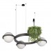 10121/3 Dark grey Подвесной светильник LOFT IT Jardin