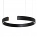 10025/400 Black Подвесной светильник LOFT IT Ring