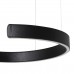 10025/400 Black Подвесной светильник LOFT IT Ring