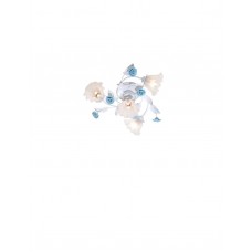 Lucia Tucci Fiori di rose 112.3.1