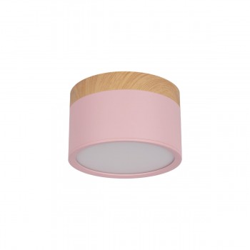 10162 Pink Накладной светильник LOFT IT Grape