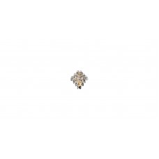 Lucia Tucci Eva W591.4 oro LED