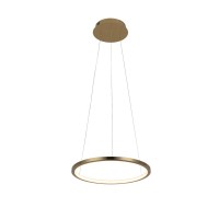 10014S Подвесной светильник LOFT IT Ring 10014S Подвесной светильник LOFT IT Ring