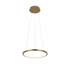 10014S Подвесной светильник LOFT IT Ring