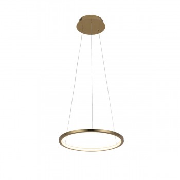 10014S Подвесной светильник LOFT IT Ring