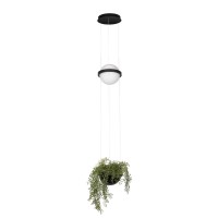 10121/B  Подвесной светильник LOFT IT Jardin 10121/B  Подвесной светильник LOFT IT Jardin