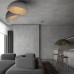 10197/350 Grey Потолочный светильник LOFT IT Egg